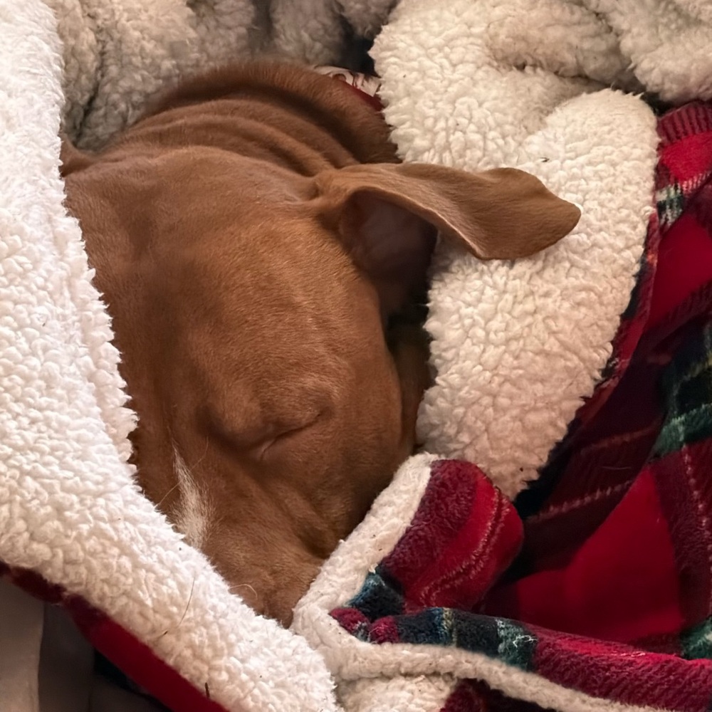 Meet your Posher, Lala